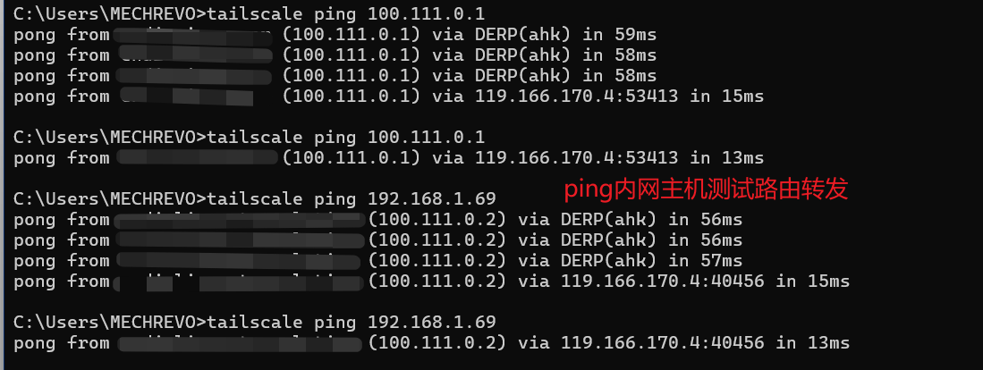 image-20260127101334893